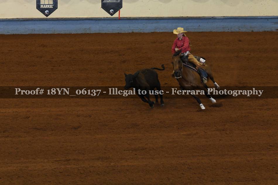 Proof 18YN_06137