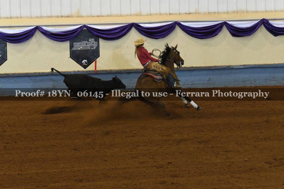 Proof 18YN_06145