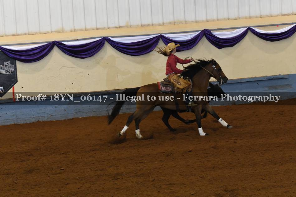 Proof 18YN_06147