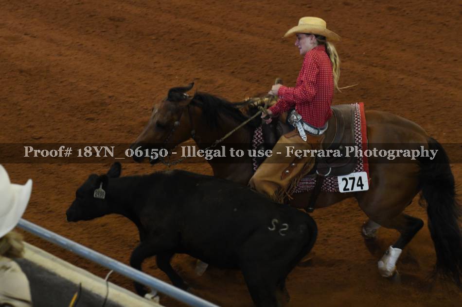 Proof 18YN_06150