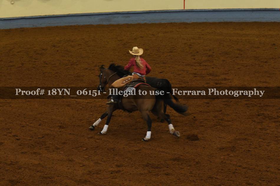 Proof 18YN_06151