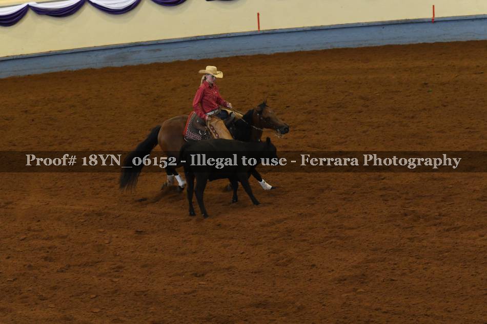 Proof 18YN_06152