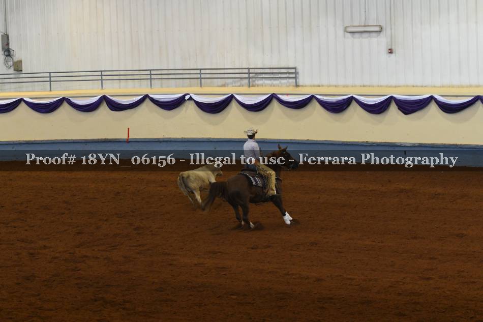 Proof 18YN_06156