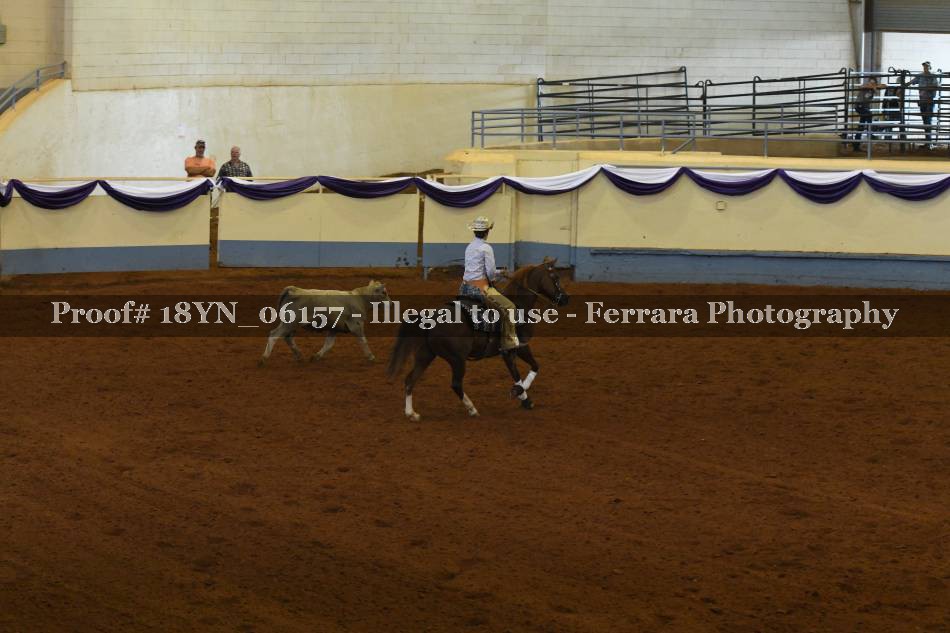 Proof 18YN_06157