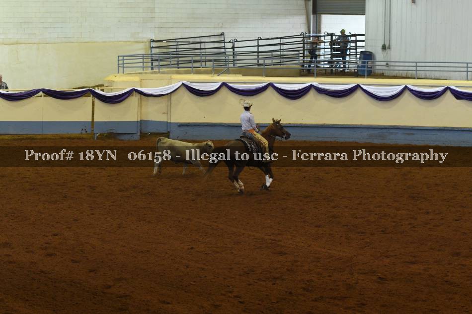 Proof 18YN_06158