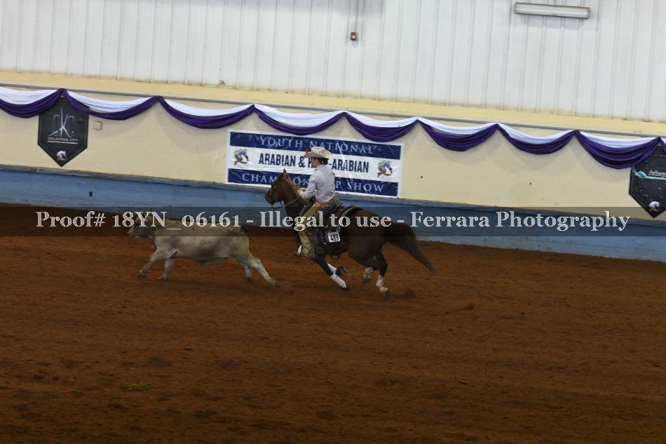Proof 18YN_06161