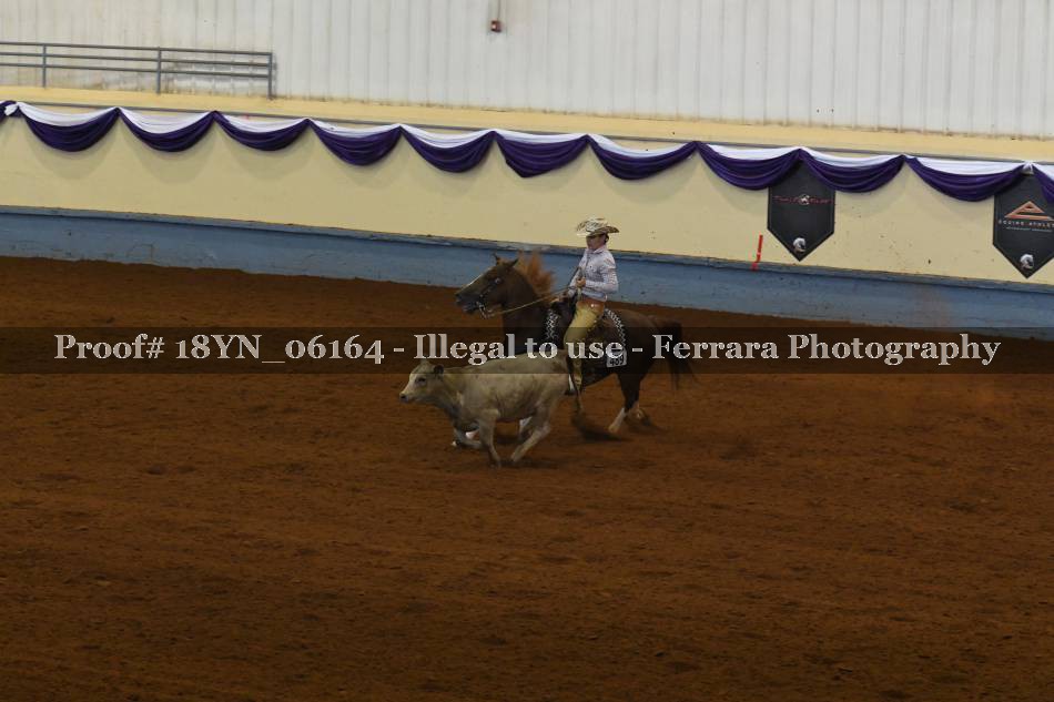 Proof 18YN_06164