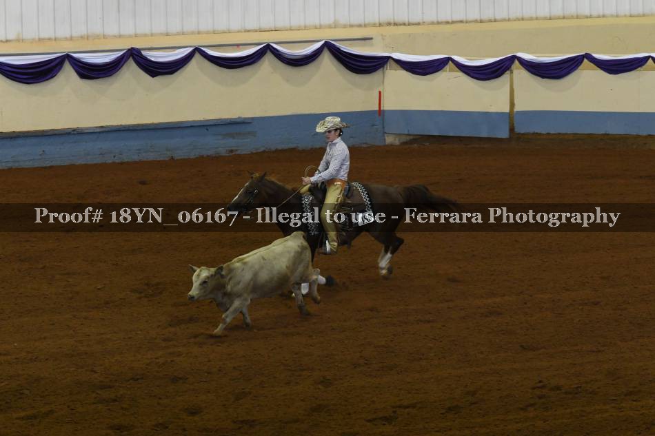 Proof 18YN_06167