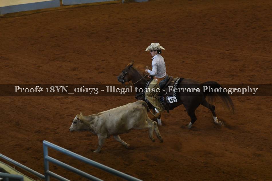 Proof 18YN_06173