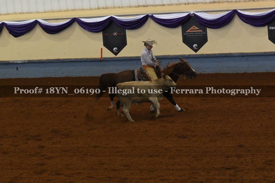Proof 18YN_06190