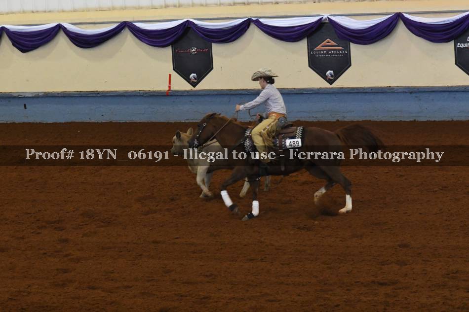 Proof 18YN_06191