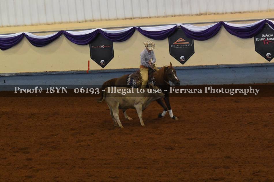 Proof 18YN_06193