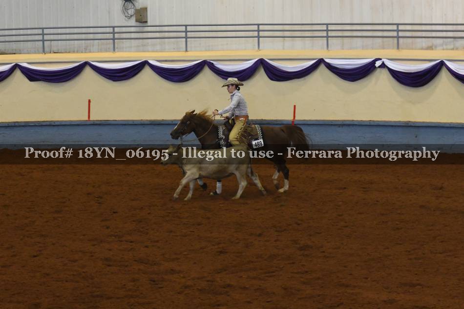 Proof 18YN_06195