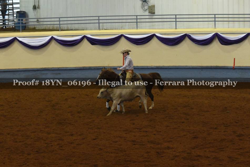 Proof 18YN_06196