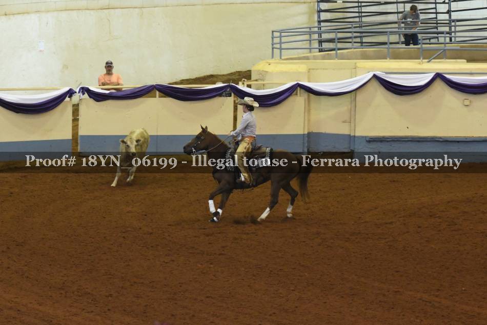Proof 18YN_06199