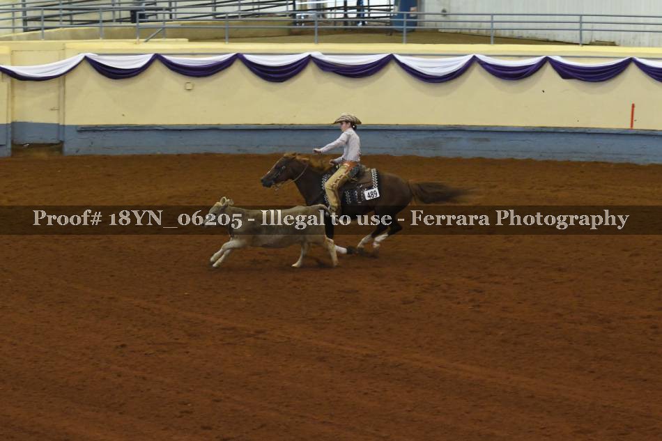 Proof 18YN_06205