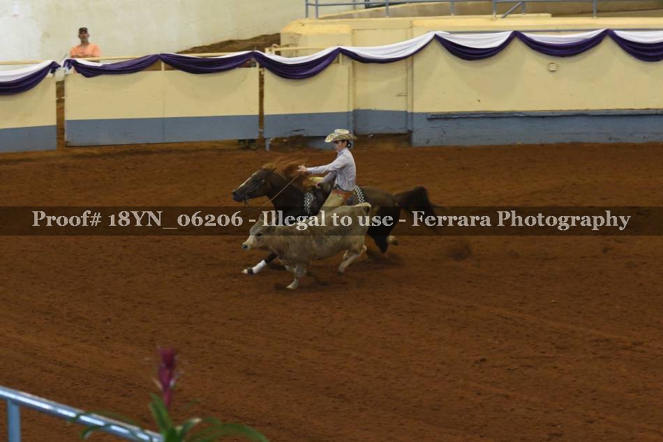 Proof 18YN_06206