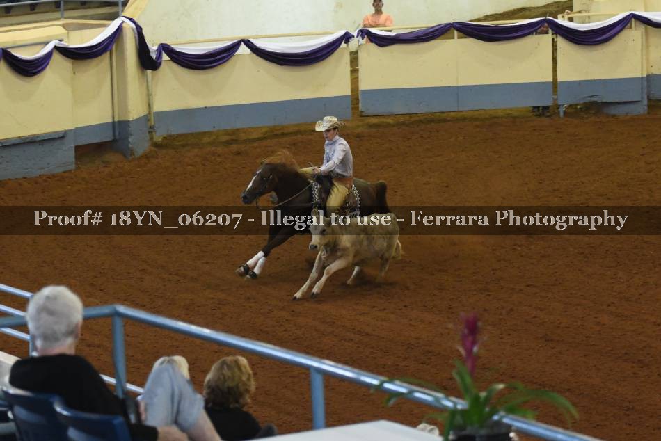 Proof 18YN_06207
