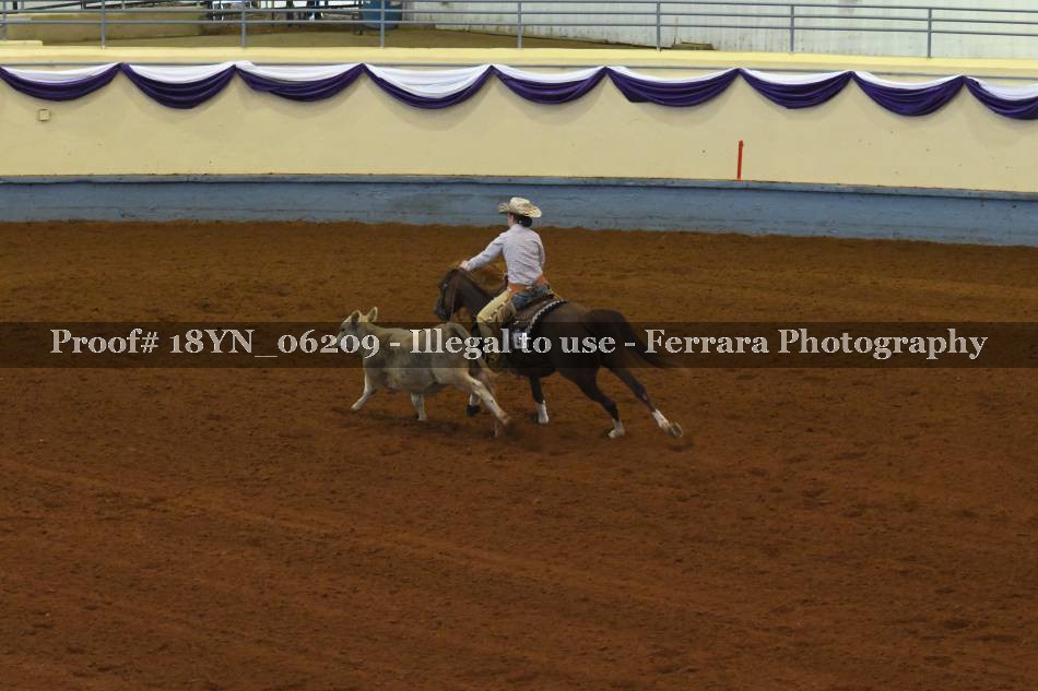 Proof 18YN_06209