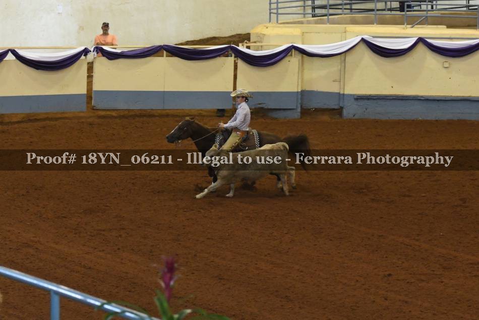 Proof 18YN_06211
