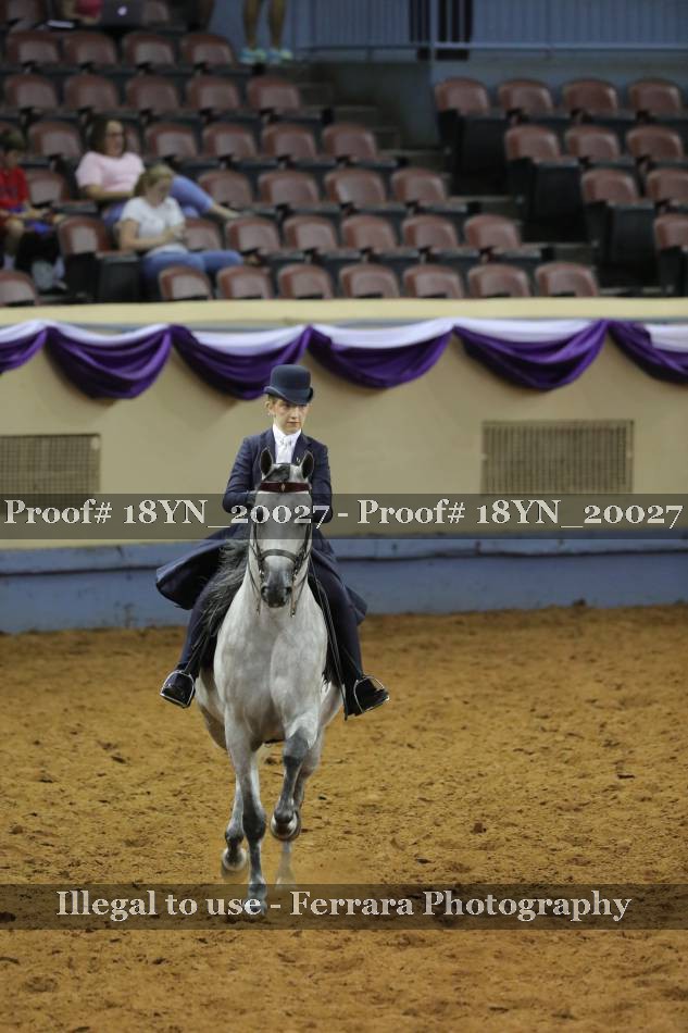 Proof 18YN_20027