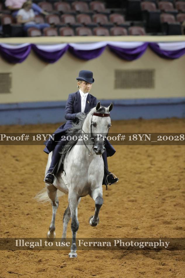 Proof 18YN_20028