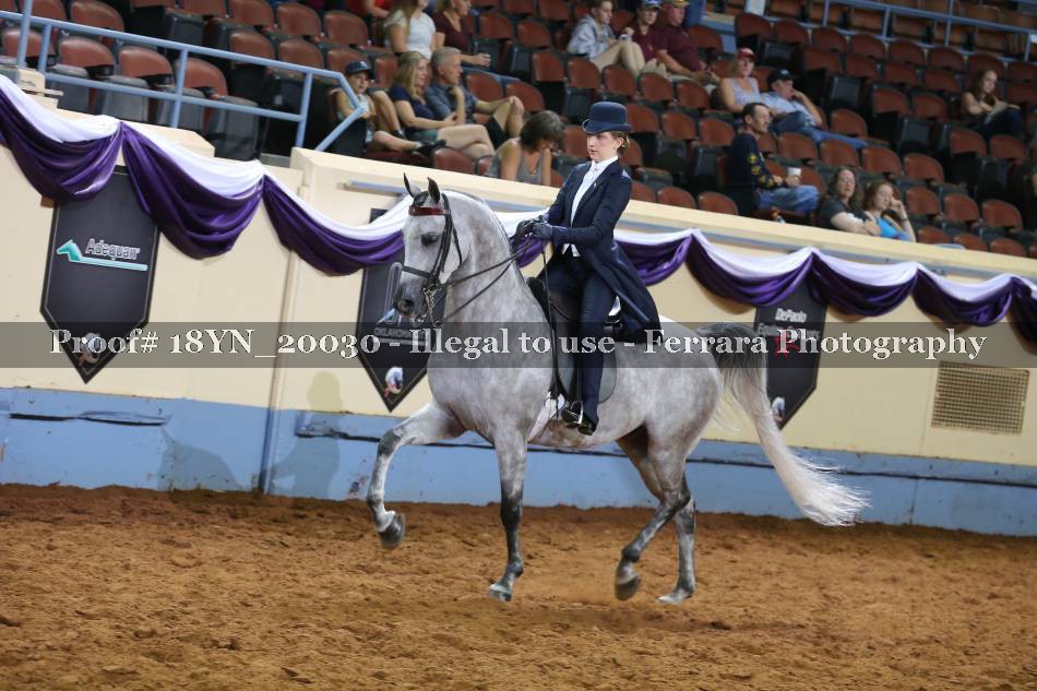 Proof 18YN_20030