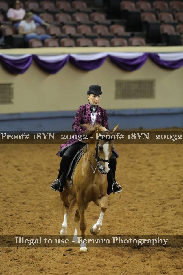 Proof 18YN_20032
