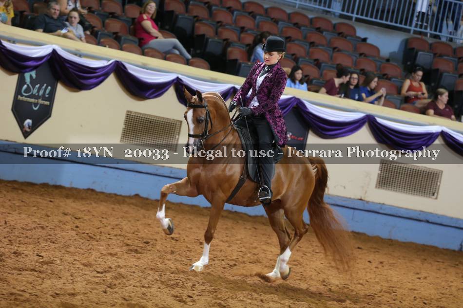 Proof 18YN_20033
