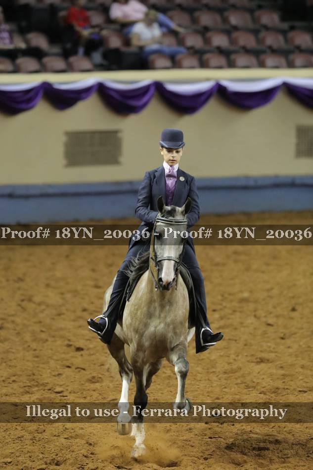 Proof 18YN_20036