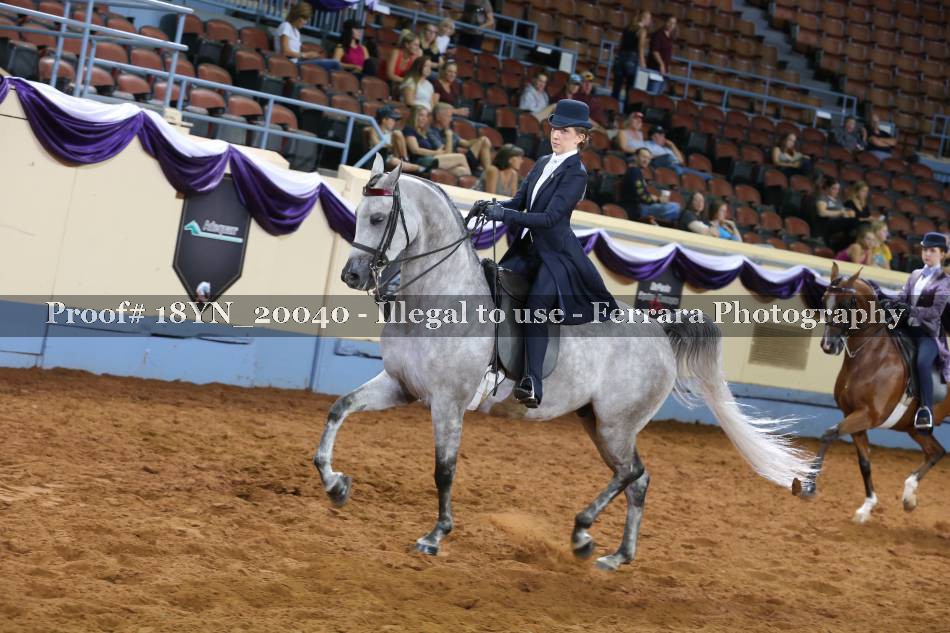 Proof 18YN_20040