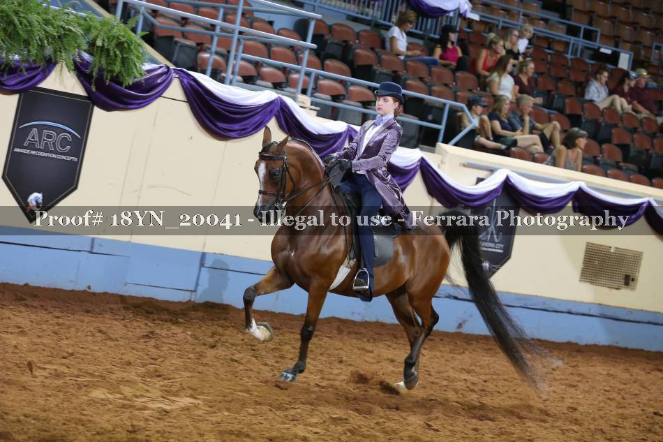 Proof 18YN_20041