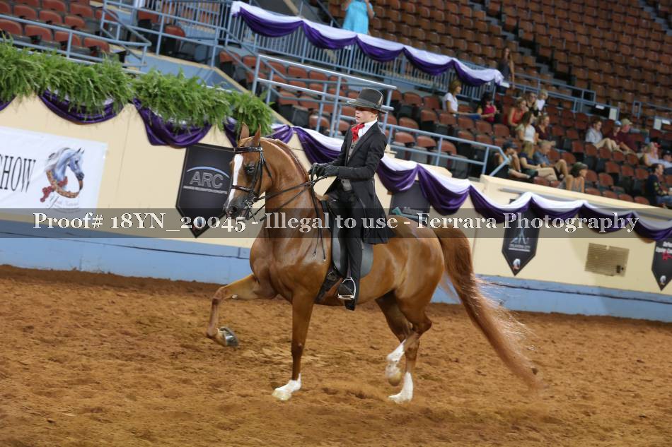 Proof 18YN_20045