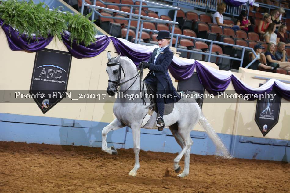 Proof 18YN_20047