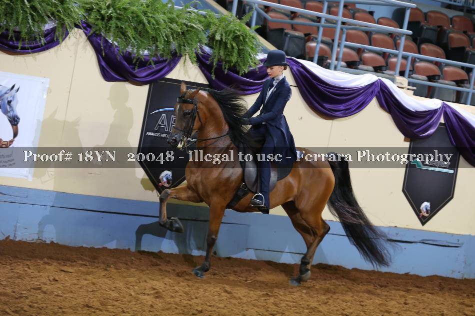 Proof 18YN_20048