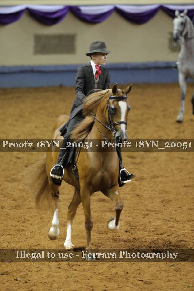 Proof 18YN_20051