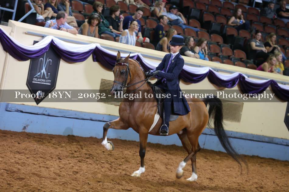 Proof 18YN_20052
