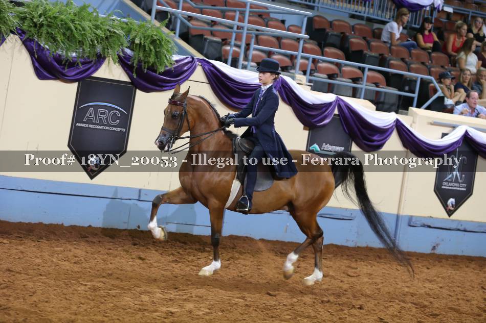 Proof 18YN_20053