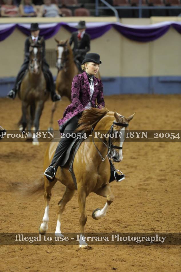 Proof 18YN_20054