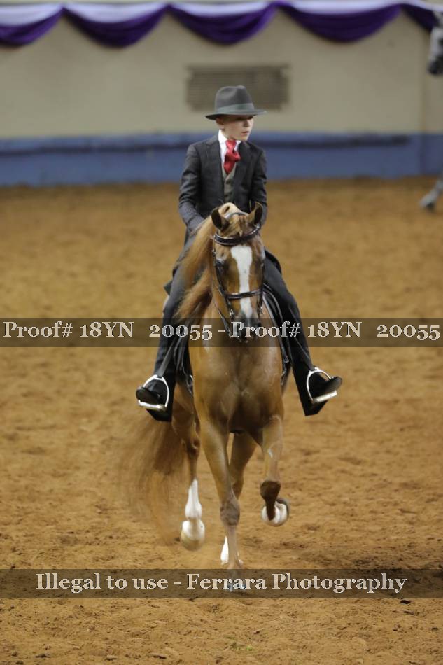 Proof 18YN_20055