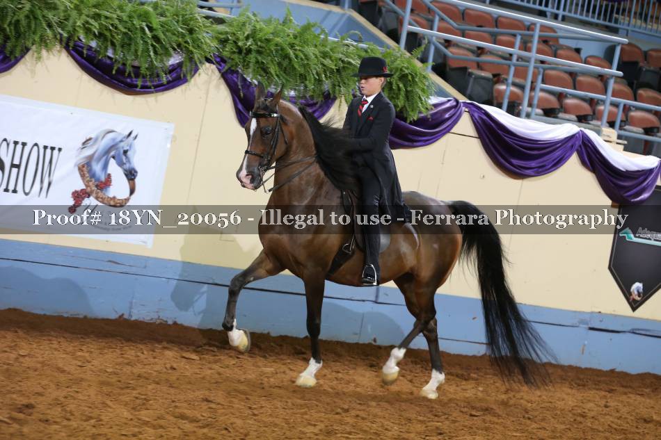 Proof 18YN_20056