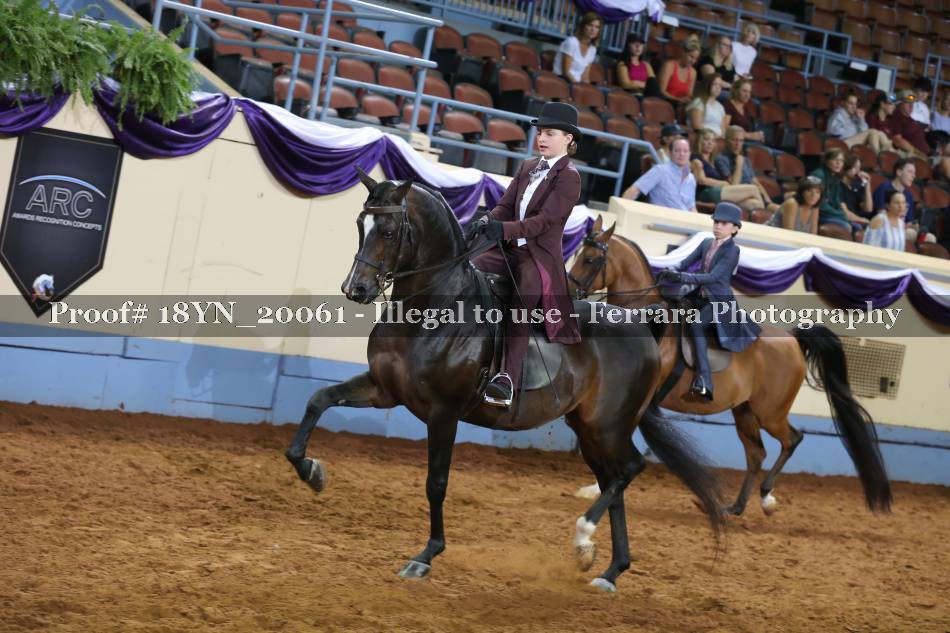Proof 18YN_20061