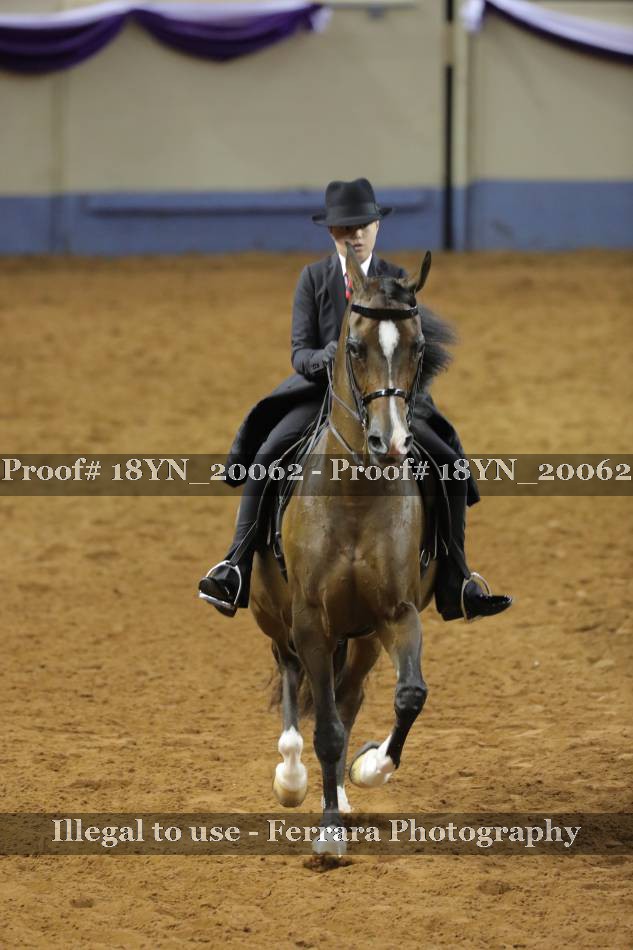Proof 18YN_20062