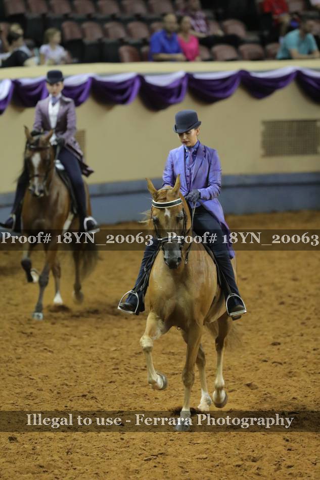 Proof 18YN_20063