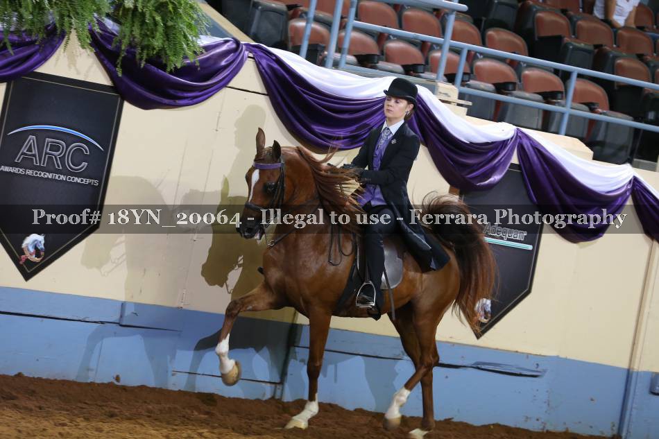 Proof 18YN_20064