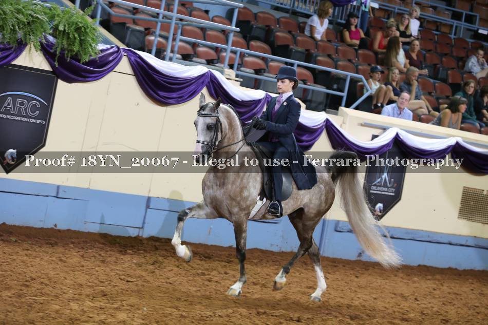 Proof 18YN_20067