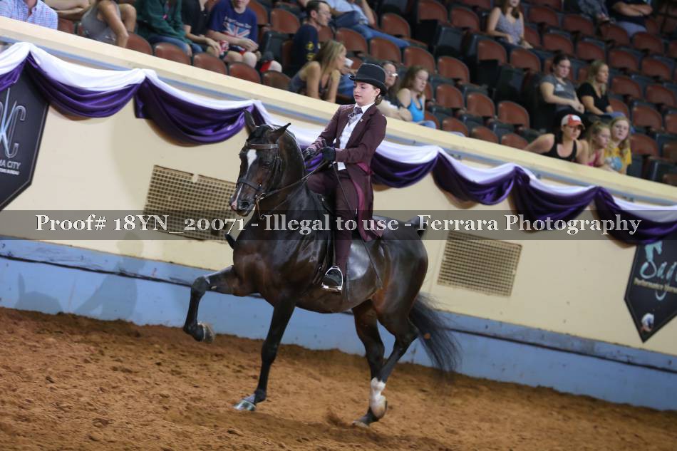 Proof 18YN_20071