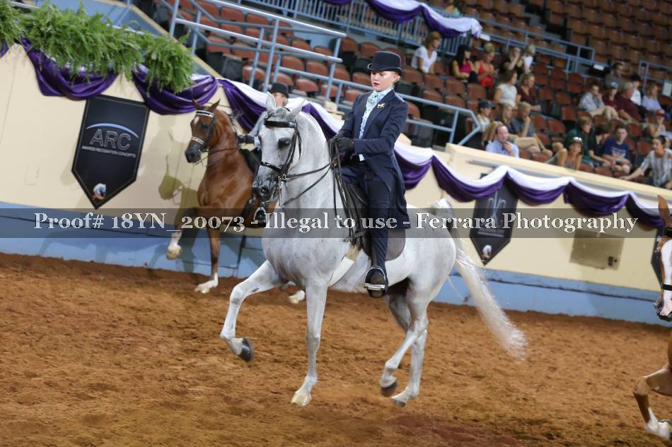 Proof 18YN_20073