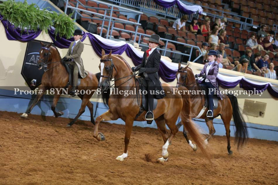 Proof 18YN_20078