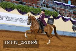 18YN_20080 proof